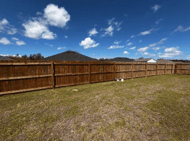 Fences & Staining